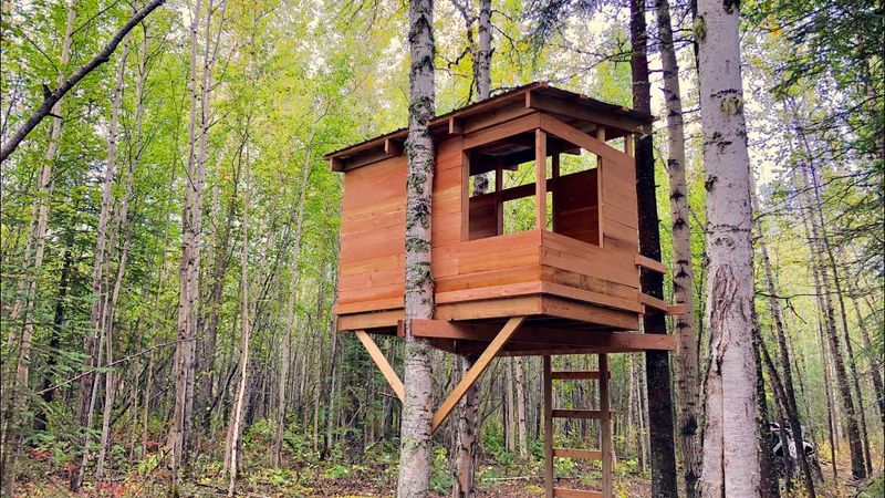 Building Treehouses