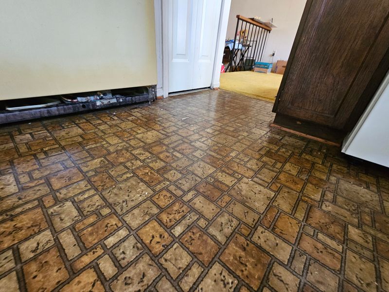 Linoleum Floors