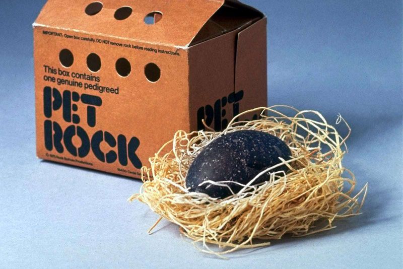 Pet Rock