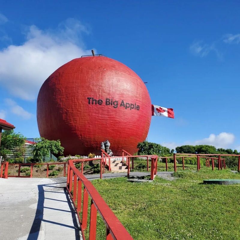 The Giant Tomato