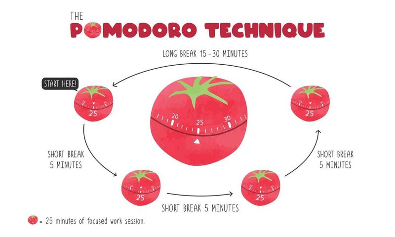 The Pomodoro Technique