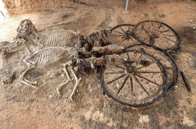 A 2,000-Year-Old Toy Chariot (Turkey)