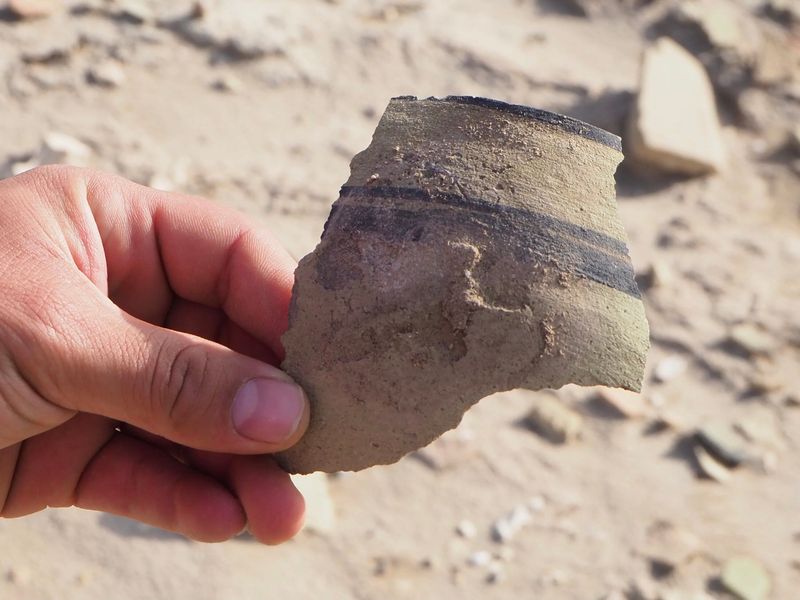 Ancient Pottery Shards