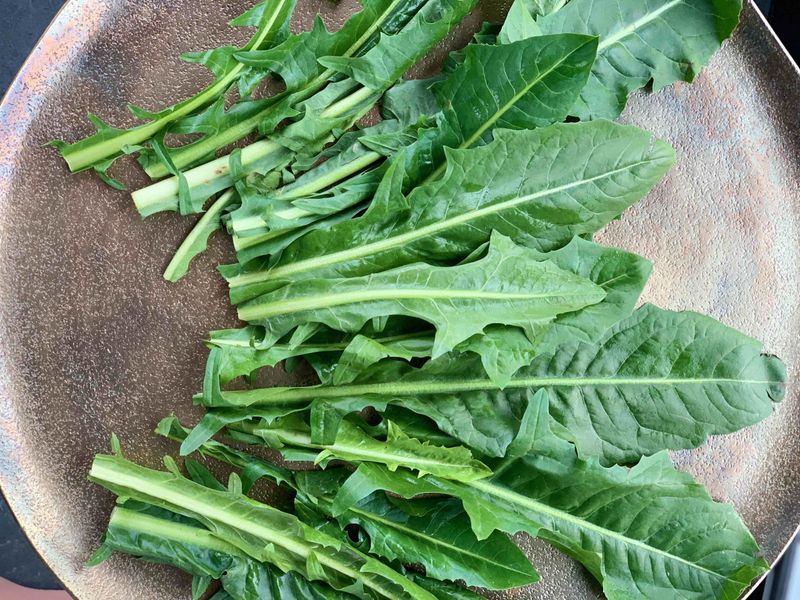 Dandelion Greens