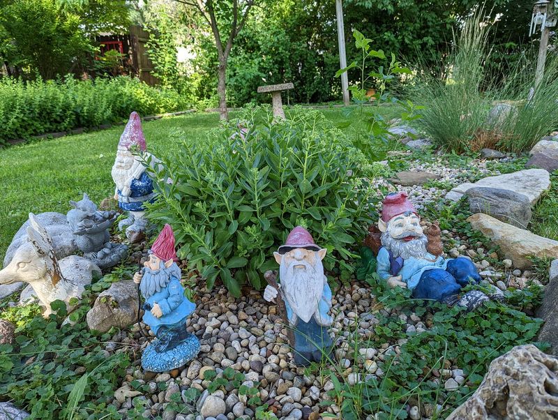 Eclectic Garden Gnomes