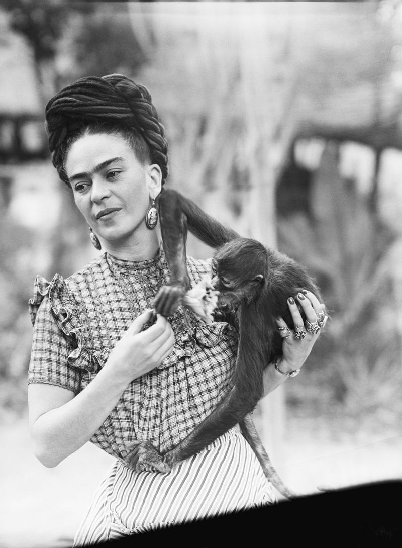 Frida Kahlo's Pet Monkey