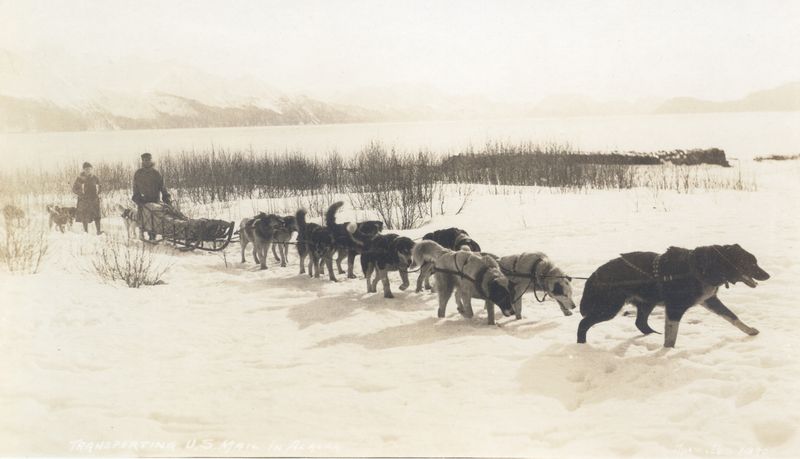 Husky Sled Teams in 1910s