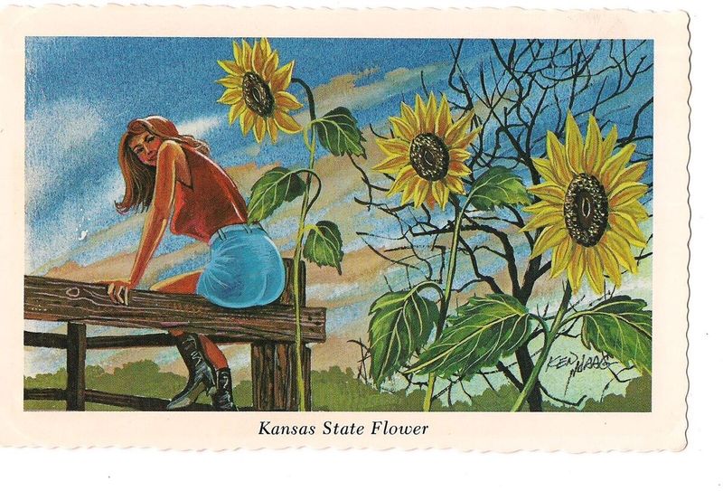 Kansas: Sunflower Motifs