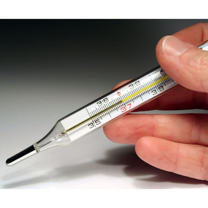 Mercury Thermometers