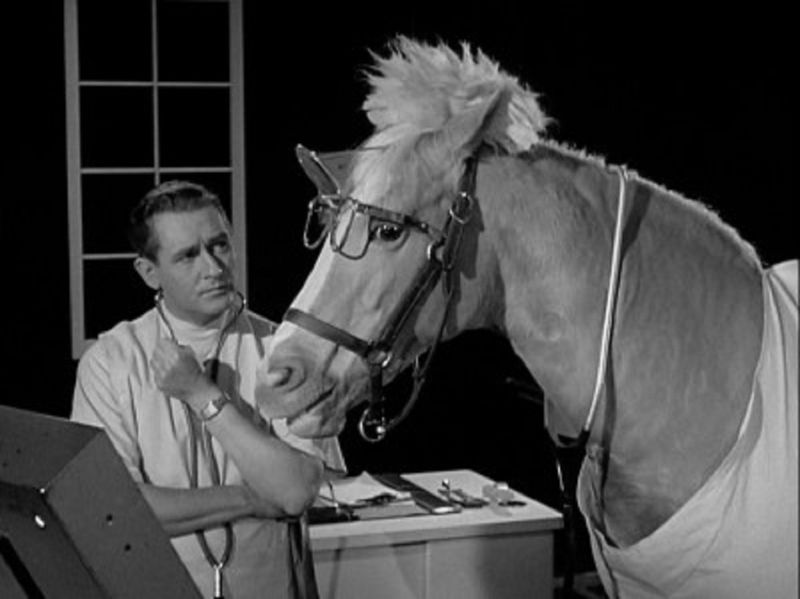 Mister Ed