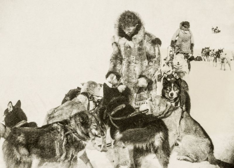 Nome Dog Sled Race, 1925