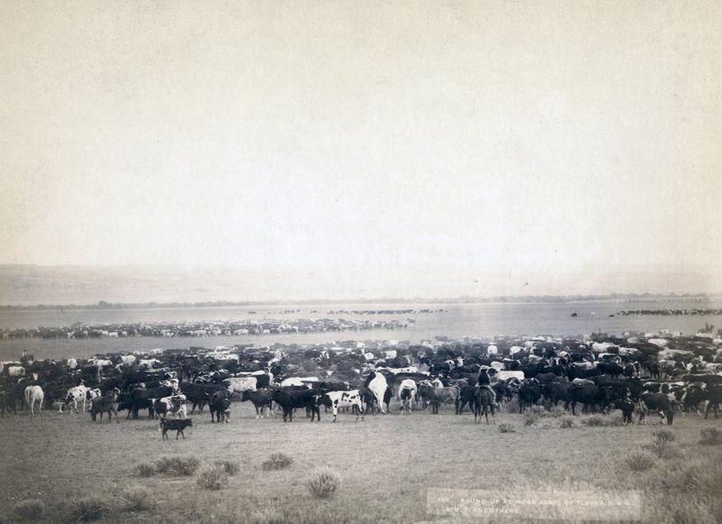 North Dakota: Fields and Fortitude