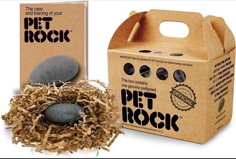 Pet Rock Phenomenon