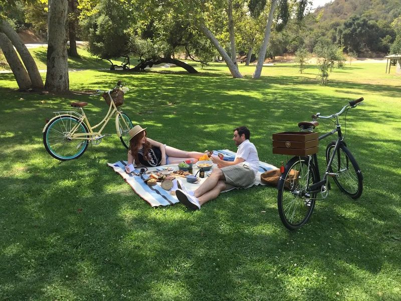 Picnic in the Park