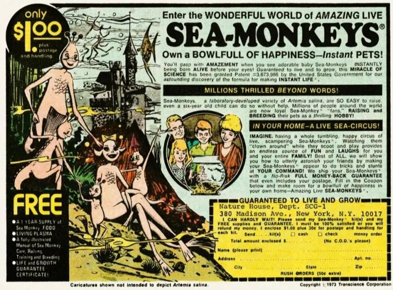 Sea Monkeys