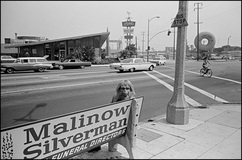 Sunset Strip, Los Angeles, 1980