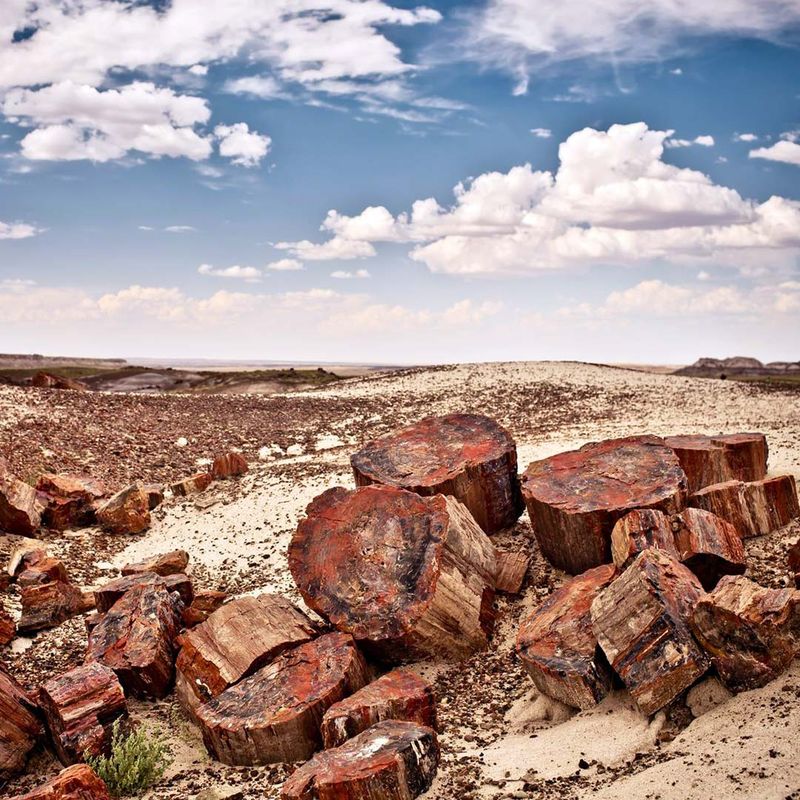 The Painted Desert