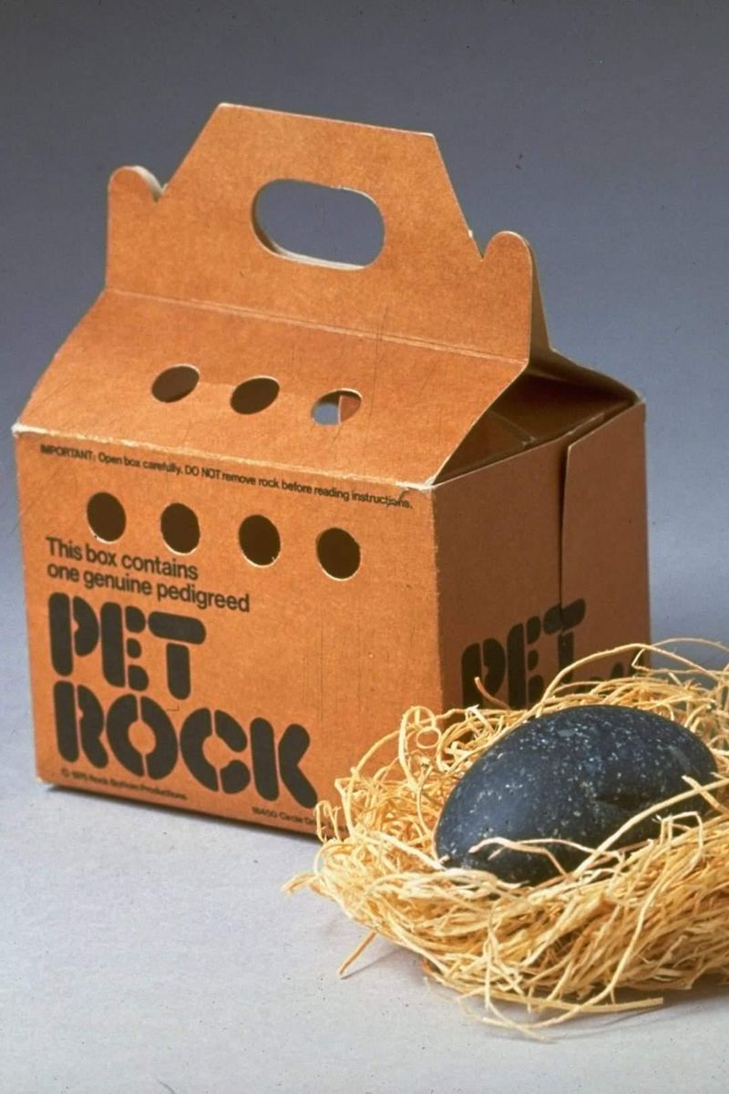 The Pet Rock Scam 🪨😑