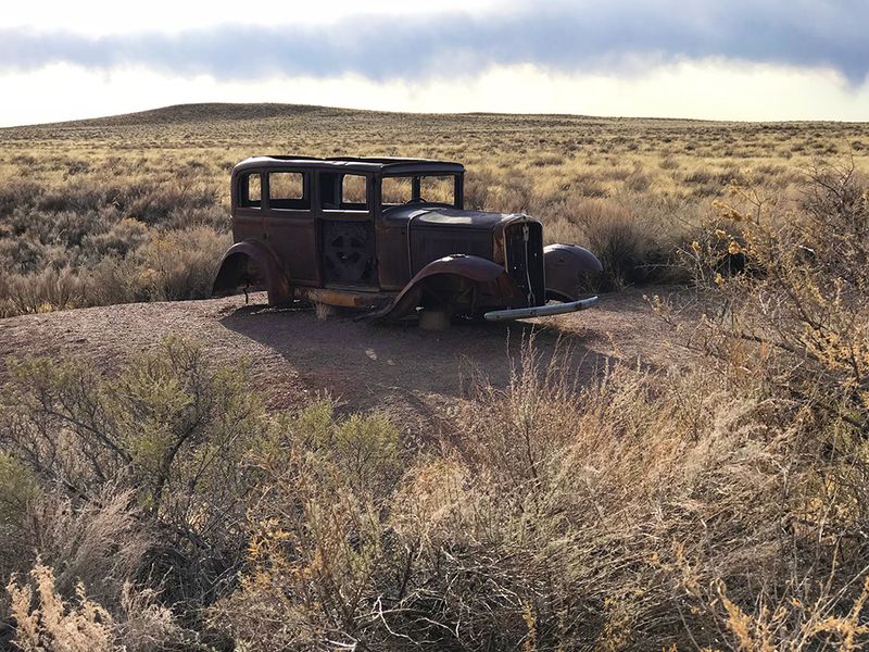 The Petrified Forest National Park