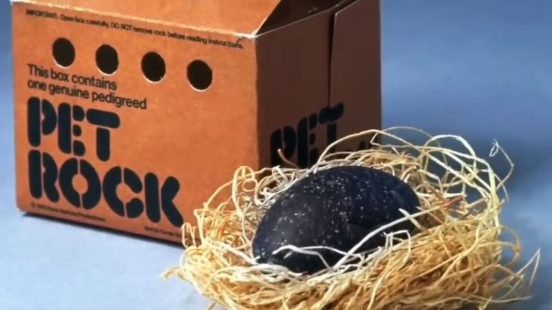 The Rise of the Pet Rock