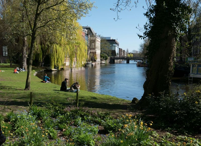 Tranquil City Parks