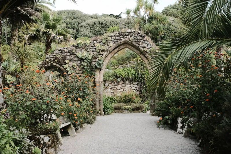 Tresco Abbey Gardens, Isles of Scilly