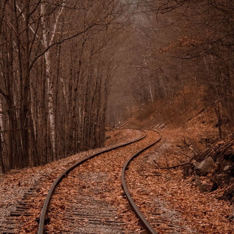 Tracks of Time