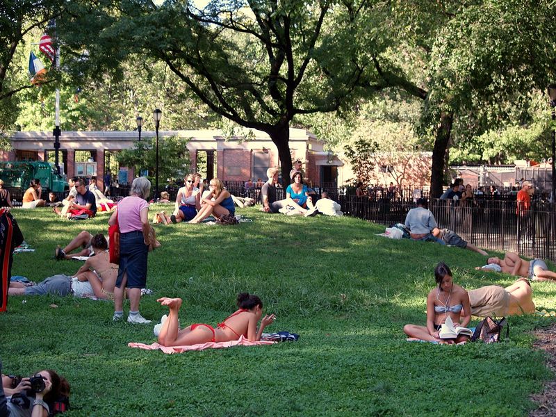 Picnic in the Park