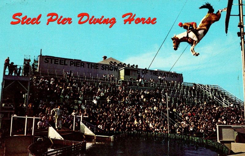 Steel Pier Diving Horse