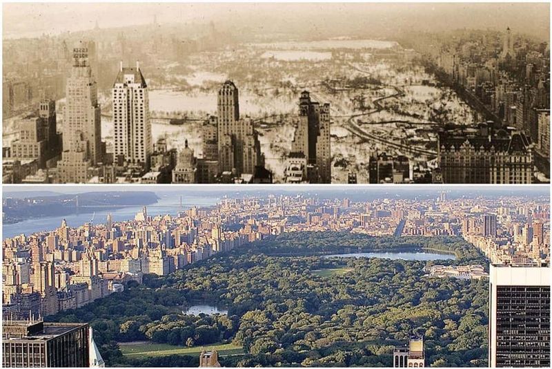 Central Park, New York