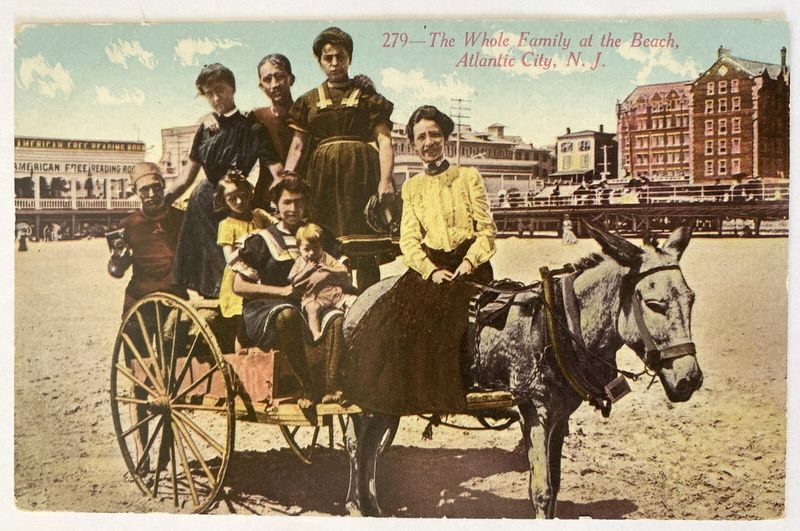 Horse-Drawn Carriage Rides