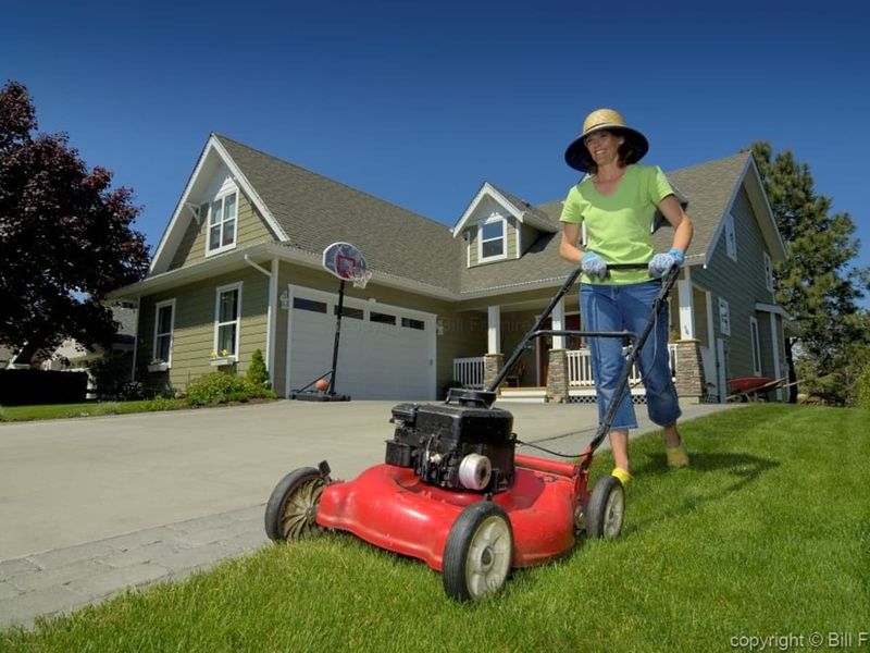 The Lawn Perfectionist