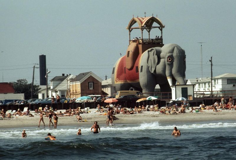 The Exciting Elephant Hotel