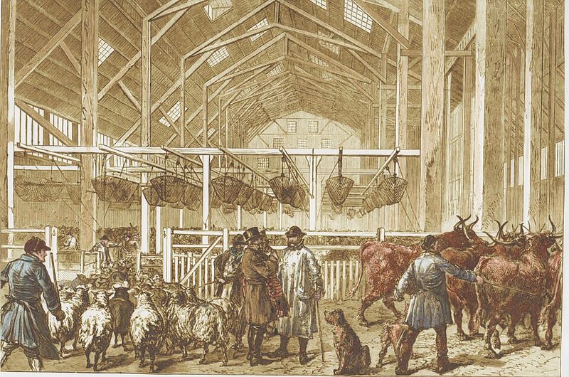 The Great Chicago Cow Disease Hoax