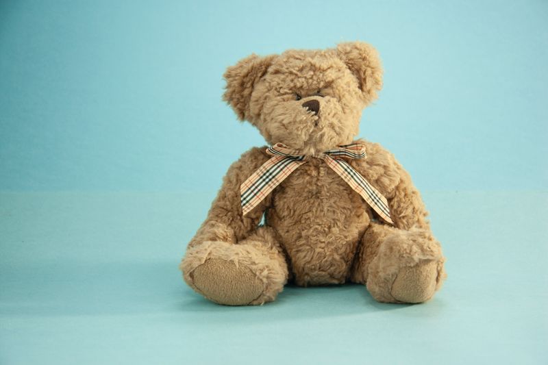 Teddy Bears - The Original Comfort Companion
