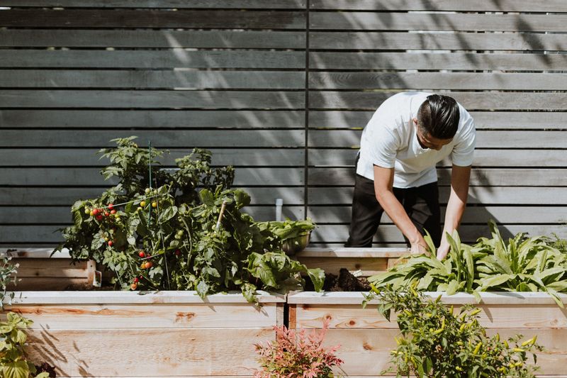 Gardening for Sustenance