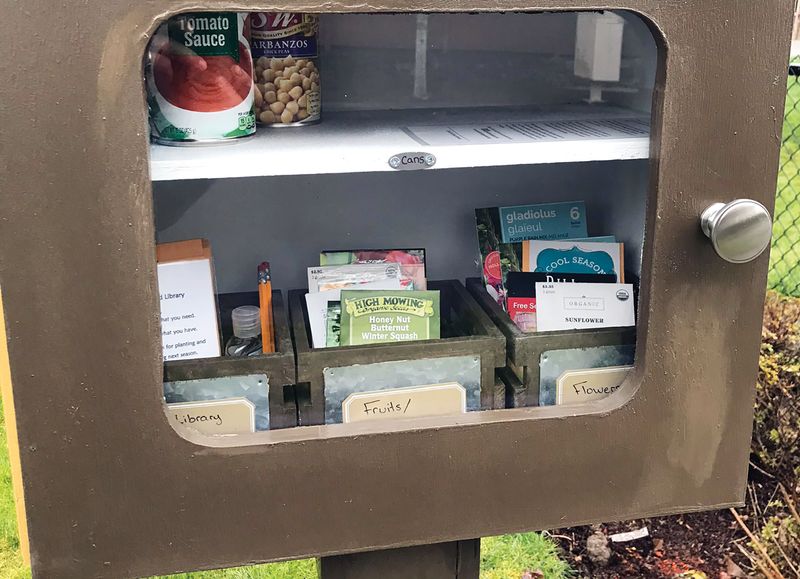 Exploring Seed Libraries for Home Gardens