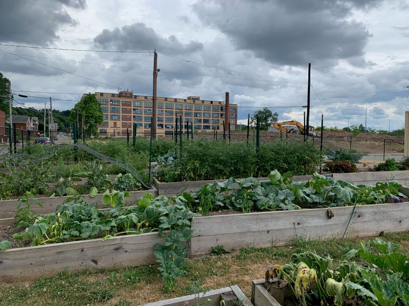Pittsburgh's Hidden Farm