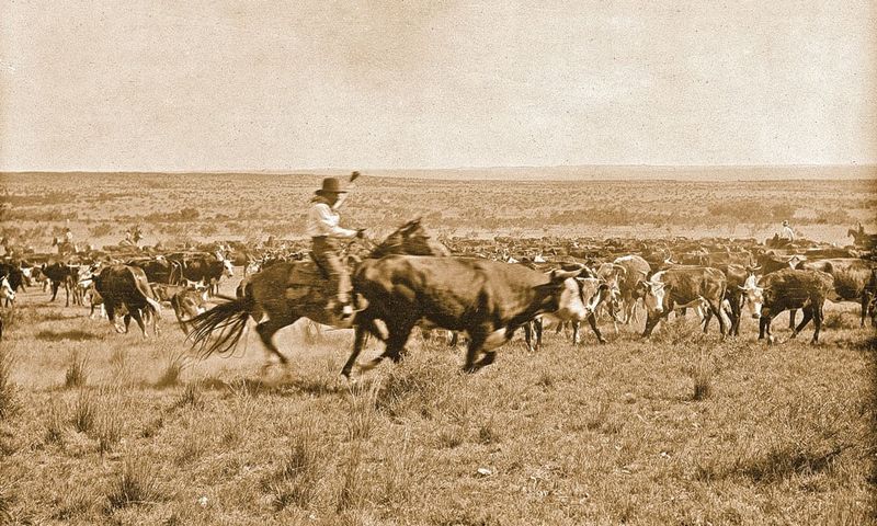 Cowboys and Cattle Drives
