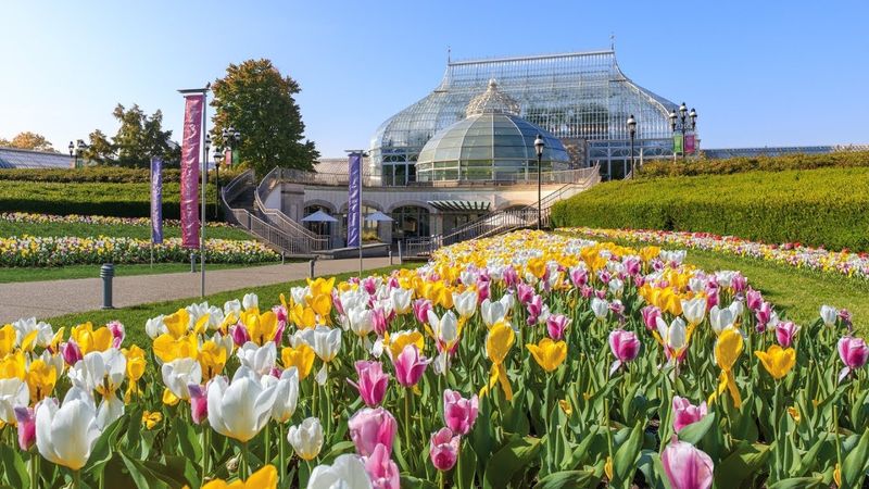 Botanical Conservatory