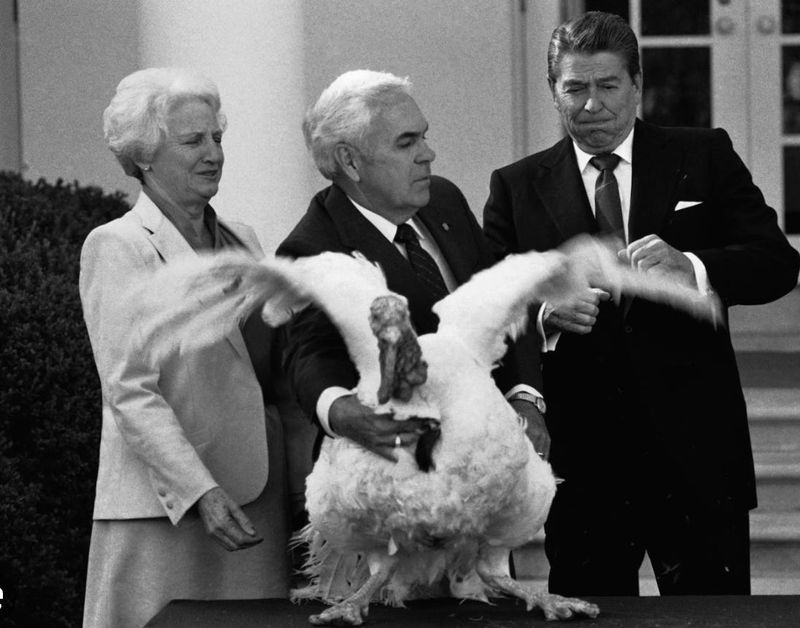 Presidential Turkey Pardoning Origins