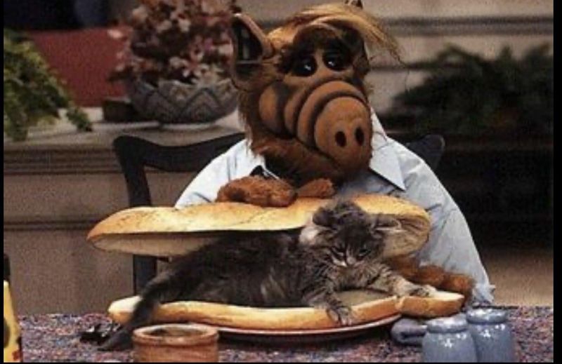 ALF's Cat-Eating Jokes