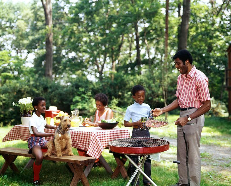 The Backyard Barbecue