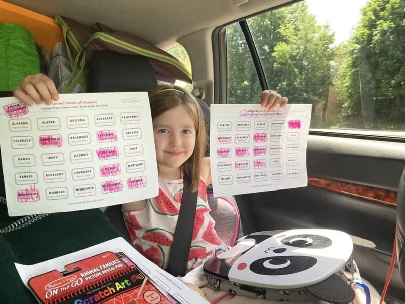 The Backseat Entertainment System