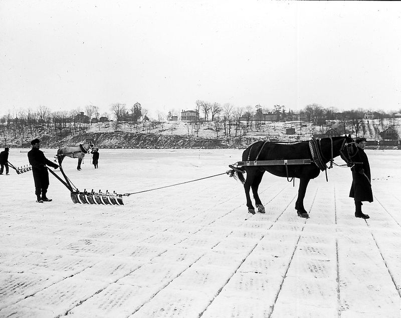 Ice Harvesting Festivals