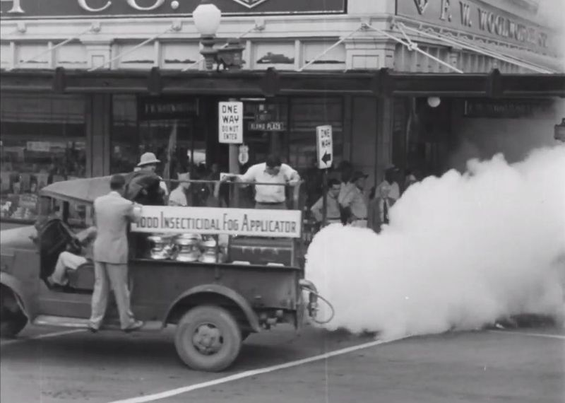 DDT: The Bug Spray That Bugged Everyone