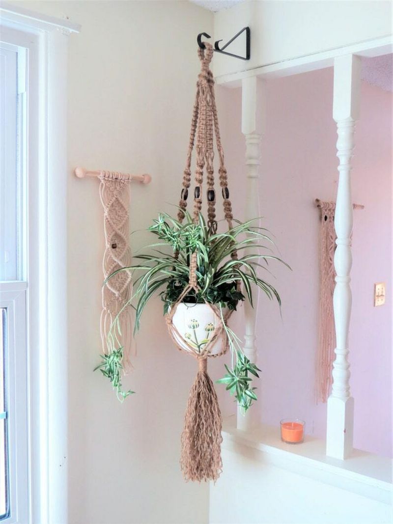 Macramé Plant Hangers Dangling From Ceilings