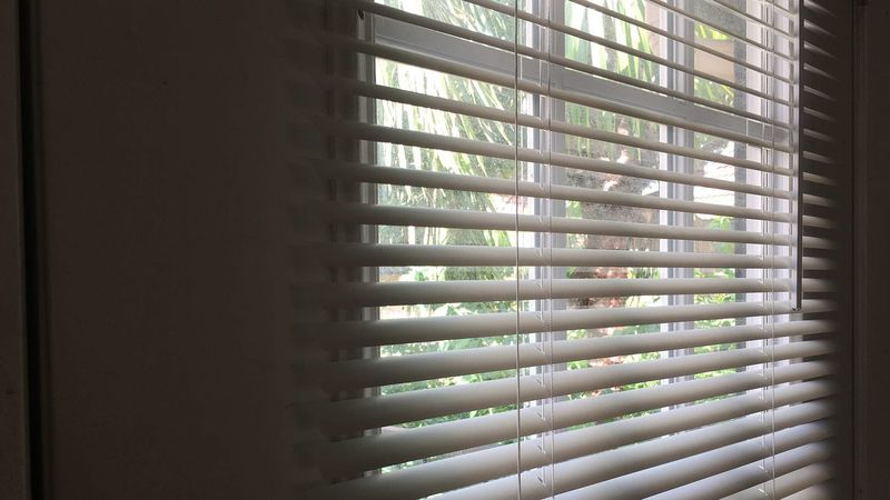 Vinyl Miniblinds: The Lead Dust Dispensers